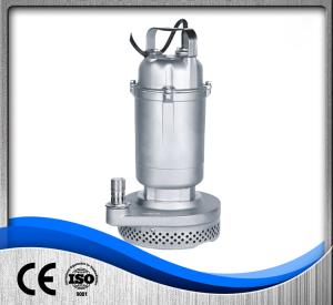 China Home Stainless Steel Submersible Pump Garden Irrigation High Efficiency wholesale