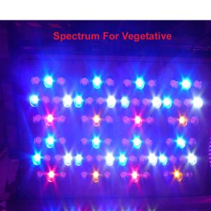 China Best manufacturer in China cidly 400w full spectrum led grow light for plant wholesale
