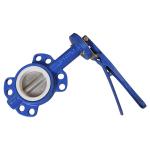 Blue Wafer Butterfly Valve 125 Lbs Rust Proof Long Working Life