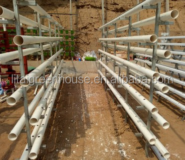 Industrial Greenhouse Hydroponic Vegetable Growing System with 11 liters Volume