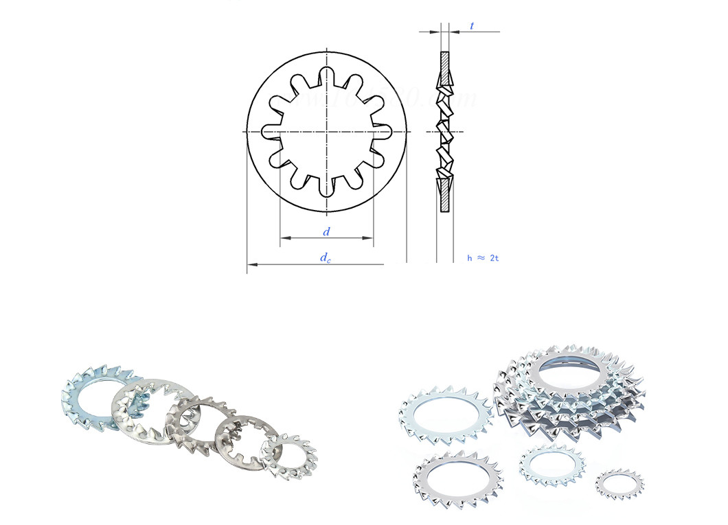 Stainless Steel Serrated Lock Washers Rust Proof Washer With Teeth Inside
