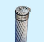 WEEVIL IEC 61089 30mm2 AAC All Aluminum Conductor
