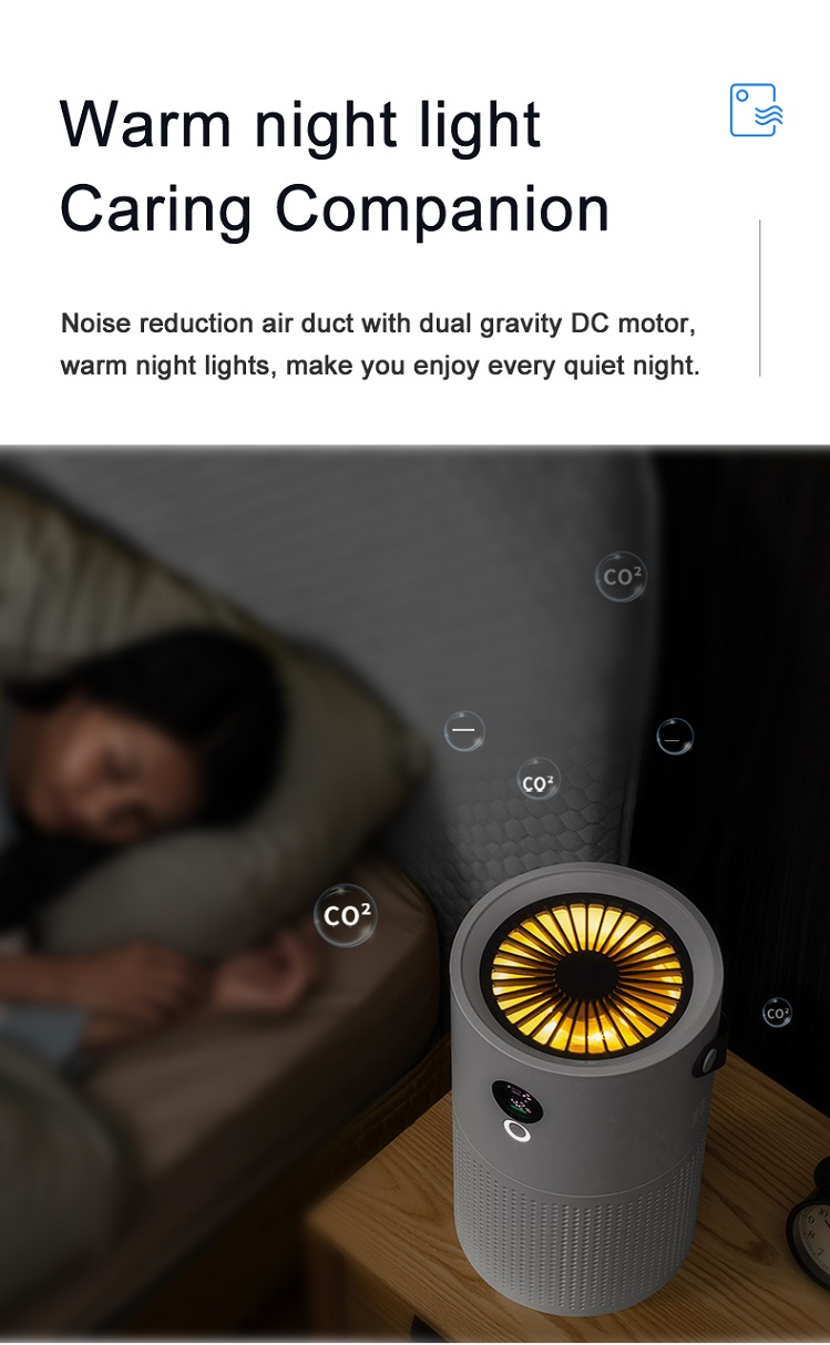HOMEFISH Smoke Pm2.5 Negative Ion Desktop Cleaner Air Purifier