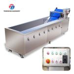 Tengsheng Fruit And Vegetable Washing Machine Pests Eliminating Saint Dragon