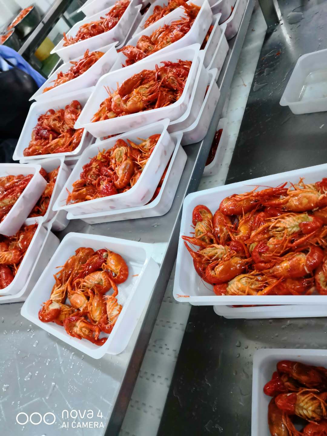 Tunnel Freezer Shrimp IQF Quick Freezer Made With 304 Stainless Steel