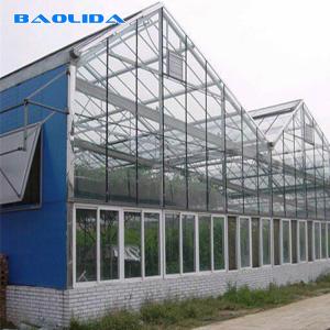 China Commercial Glass Covered Venlo Style Greenhouse Anti Corrosion wholesale