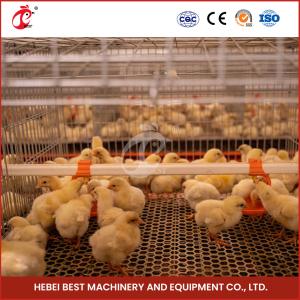 China High Durability Poultry Broiler Chicken Cage System 112 Birds Iris wholesale