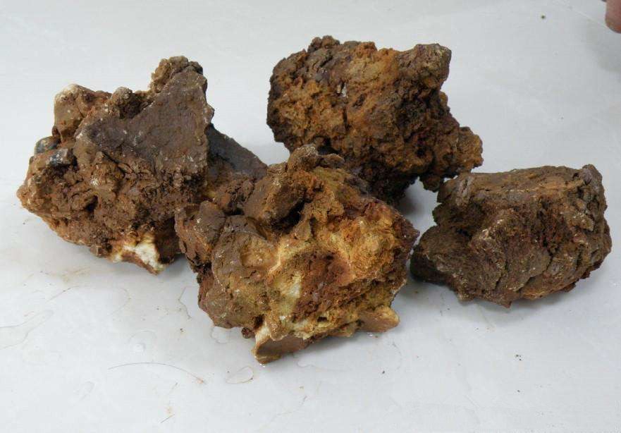 High Refractoriness Calcined Magnesite Temperature Resistance For Steelmaking Furnace