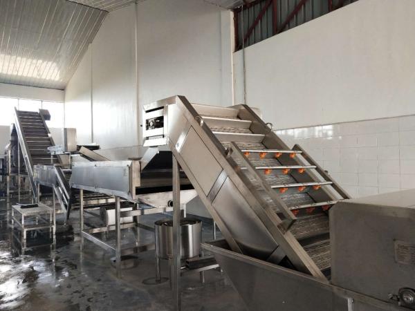 SUS316L Apricot Mango Pulp Puree Processing Line 25t/H