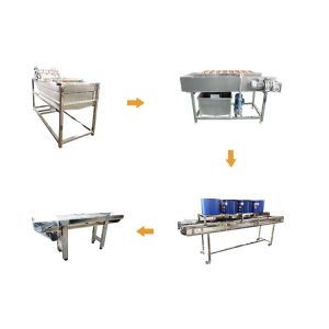 China Full Automatic Vegetable Processing Equipment Fruit Processing Line wholesale