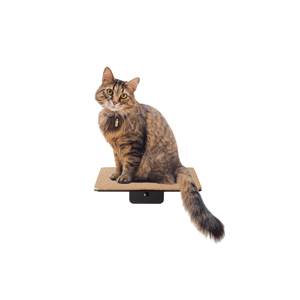 Offering Small Animals the Opportunity to Climb and Observe Black Powder Coated Design