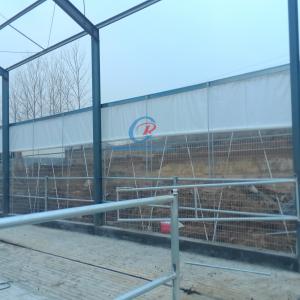 China Steel Metal Shed Construction , Prefab Steel Shed For Dairy Farm wholesale