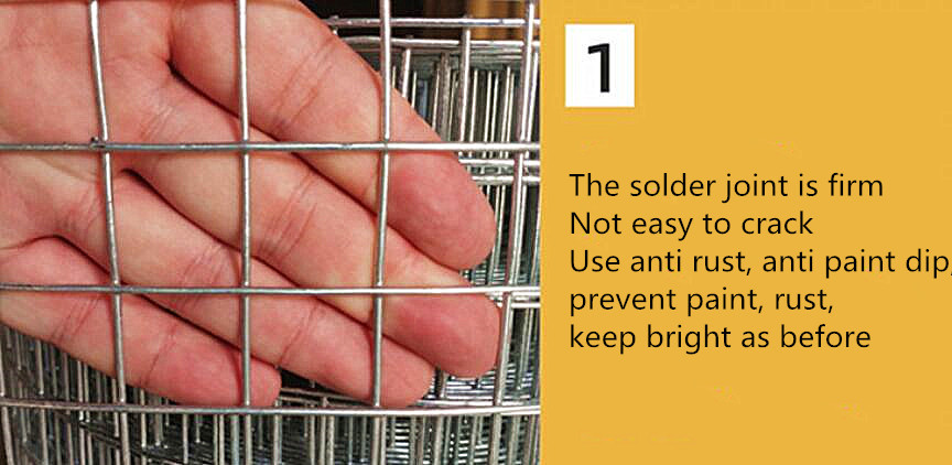 Carbon Steel Galvanized Welded Wire Mesh Fence 30m Solid Construction