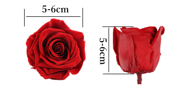 Home Decoration Preserved Rose Heads For Arrangements And Decorations