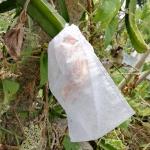 Greenhouse Nonwoven 40gsm Fabric Fruit Protection Bag
