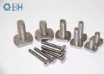 Non-standard metric T bolt, stainless steel T bolt 304 316 A2-70 A2-80 A4-70 A4