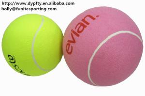 China custom made inflatable ball wholesale