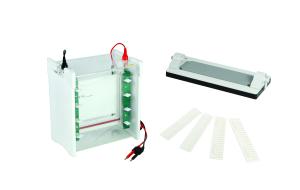 China Mini Vertical Gel Electrophoresis Equipment Protein Electrophoresis Cell wholesale