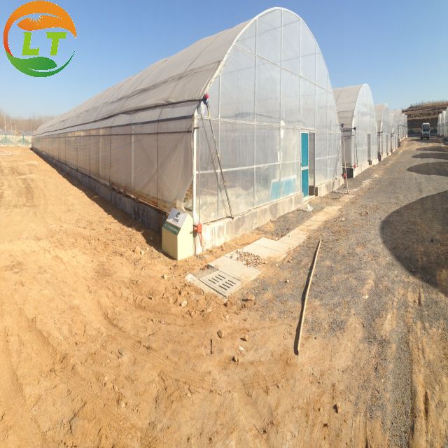 Single-Span Agricultural Greenhouses 50m250 Square Plastic Film Greenhouse from LiTai