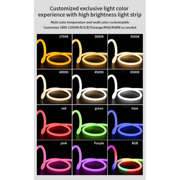 Outdoor Indoor LED Circular Neon Light Flex 360° IP67 Flexible Silicone Neon Strip