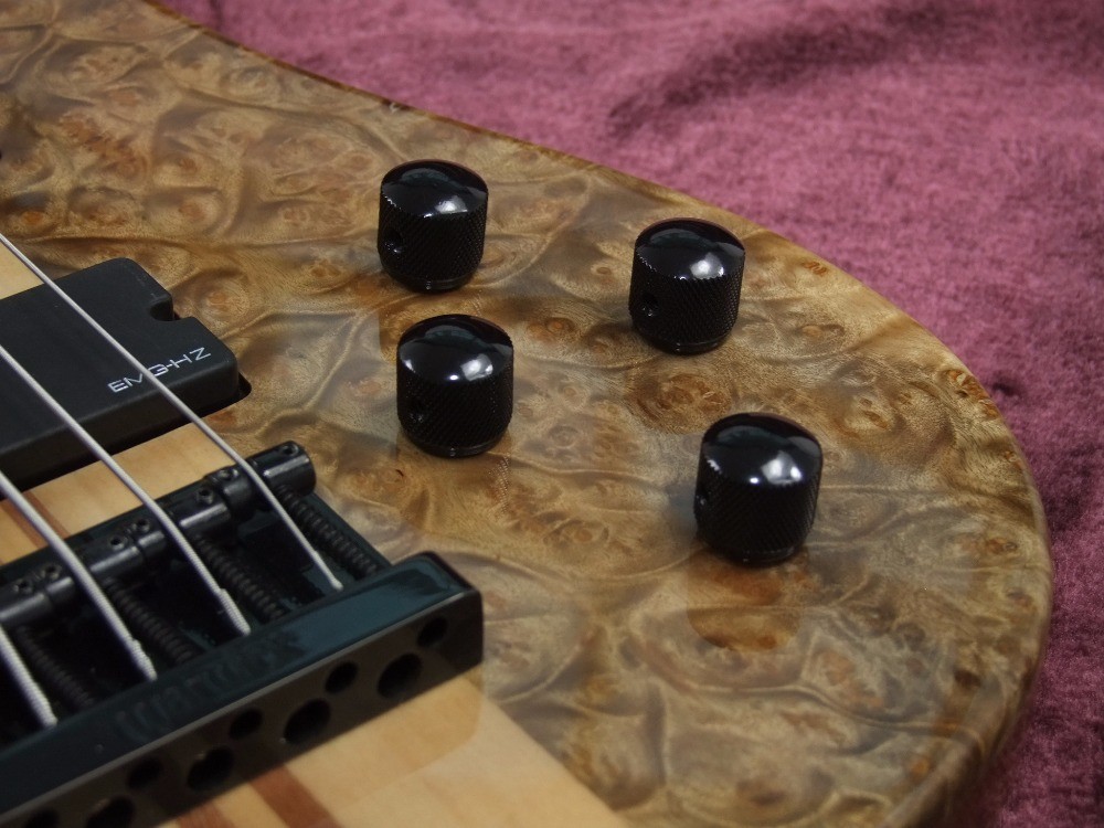 2018 new style high quality custom 5 string bass guitar, Rosewood fingerboard