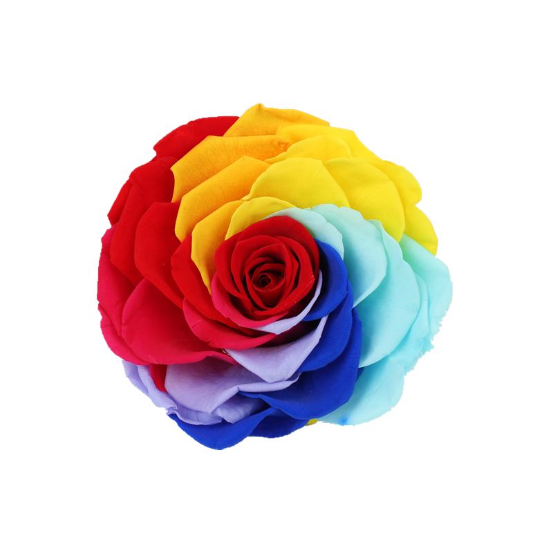 Home Decor Preserved Rose Heads Creative Household Decorative Furnishings