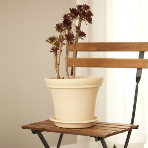 China 15CM 6 Inch Intensification Plastic PP Resin Plant Pots Saucers wholesale