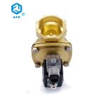 Brass Normally Closed 220V AC Natural Gas Solenoid Valve