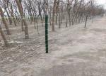 used chain link fence for sale, galvanized chain link fence,mainly used as