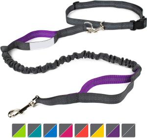China 4 Feet Long Bungee Dog Lead With Reflective Stitching wholesale