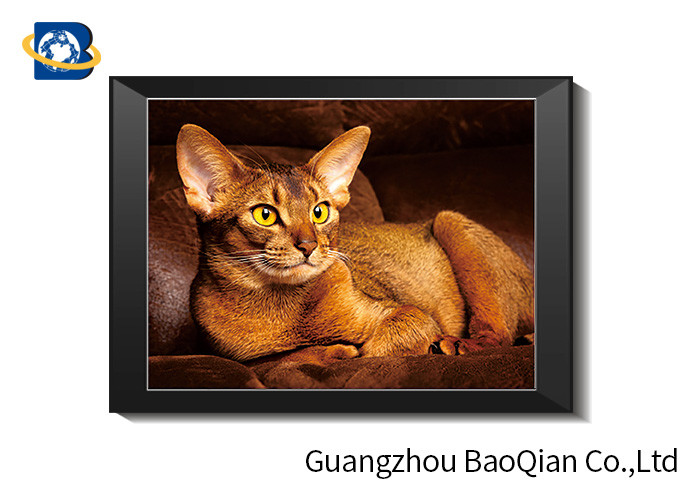 Cute Cat Lenticular Printing Picture With Frame 40 x 40 cm PET 0.65 mm