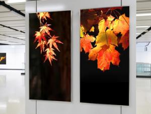 China Silvery White Ultra Thin HD Frameless Light Box Double Sided Light Box wholesale