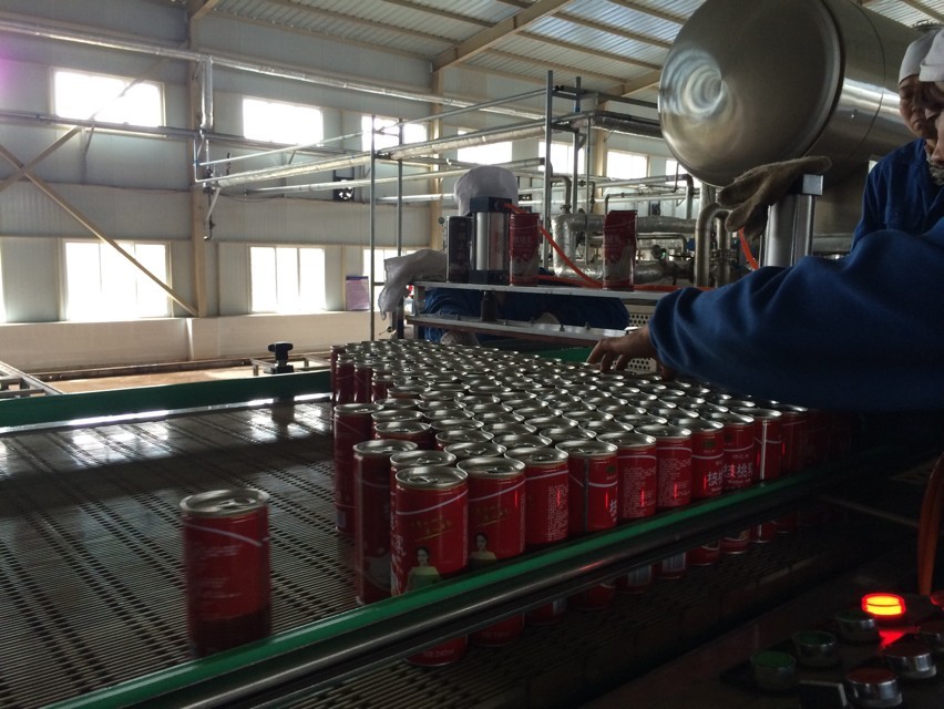Full Automatic Small Isobar Drinks Production Plant Advanced Cola Can Filling Plant