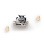 Diy ‎5 Pieces Cat Climbing Wall Shelves Allergen Free Modern Pet Furniture