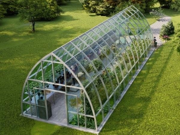 Tempered 4mm Greenhouse Roof Glass for Vagetables and Plants