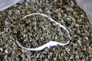 China Yunnan green tea biluochun large leaf tea spring tea wholesale