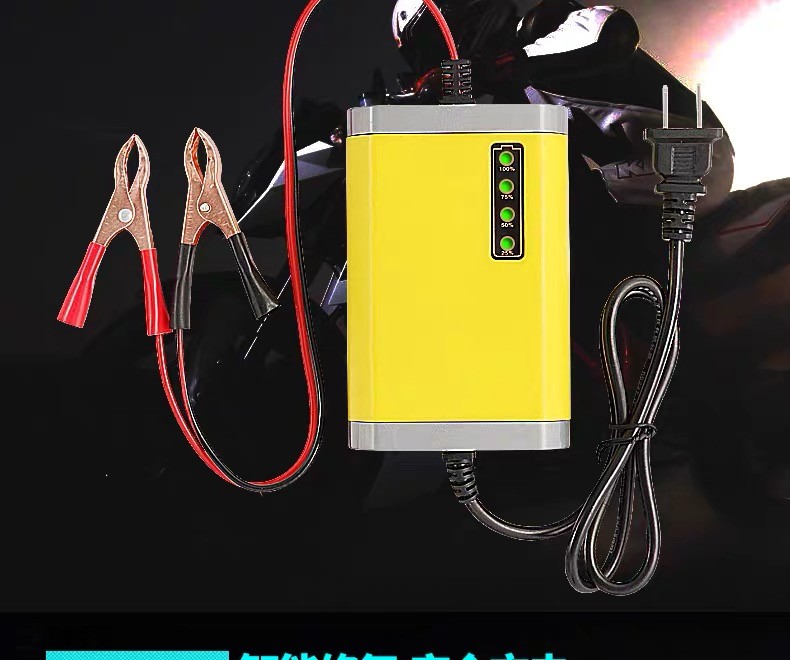 24v 12V Car Charger Trickle Automatic Charger LCD display motorcycle Car Boat Marine 14.6V 6A