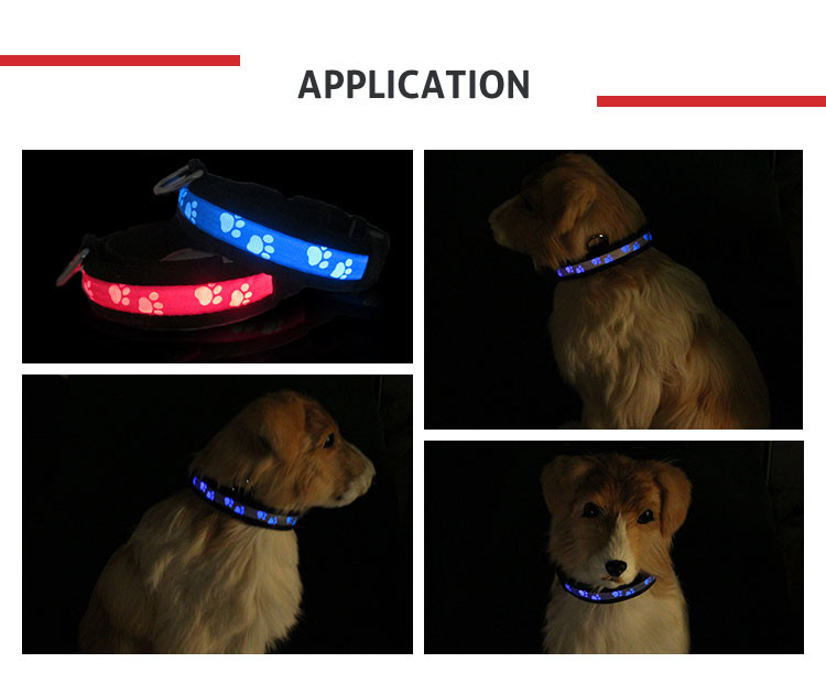 LED Flashing Light Dog Collar and Leash Safety Pet Dog Puppy Collar Lead in Night