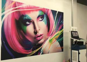 China 120w 18㎡/H 720X2280DPI Vertical Wall Printer 400ml Ink wholesale