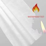 10pieces/Bag Nonwoven Disposable Earloop Mask With Shield