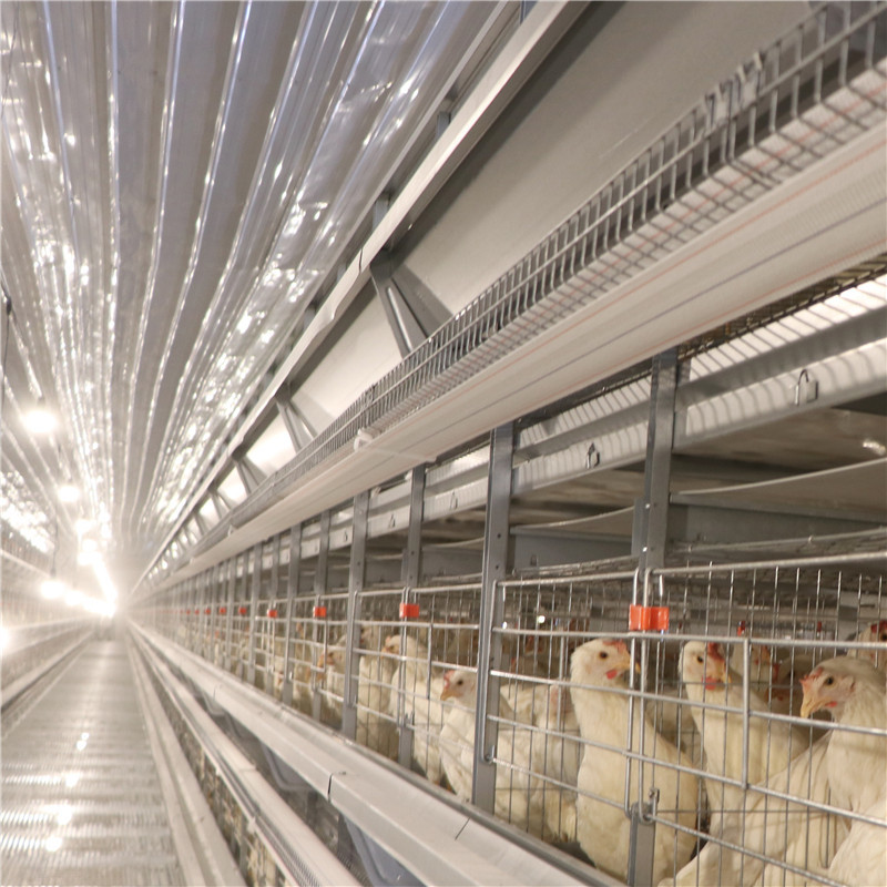 SGS Egg Battery Layer Chicken Cage Poultry Farm Corrosion Resisting