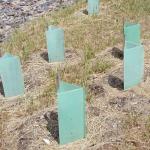 6mm Corrugated Plastic Tree Guard Herbicides Protection