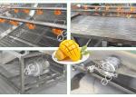 Sterilization And Disinfection Mango Washing Machine Fruit Washing Machine