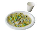 10 Inch 17g Eco Friendly Sugarcane Paper Plates