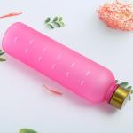 Large Capacity 1000ml Sport Water Bottle BPA Free