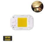 6500K 20W Chip LED COB Nature Cold Blue Red For Landscape Lighting