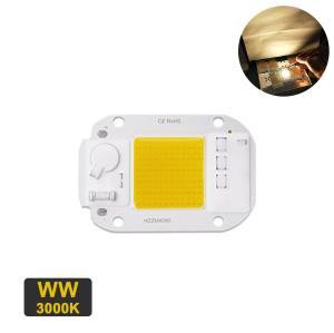 China 20W Warm White LED Module wholesale