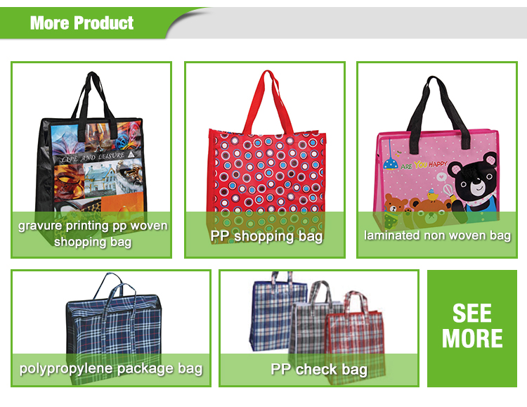 PP Polypropylene Non Woven Reusable Shopping Bags Laminated Non Woven Pp Bag
