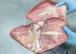 300g Up Giant Sea Squid , Frozen Boiled Giant Squid Fin Peru Squid Gigas Bqf