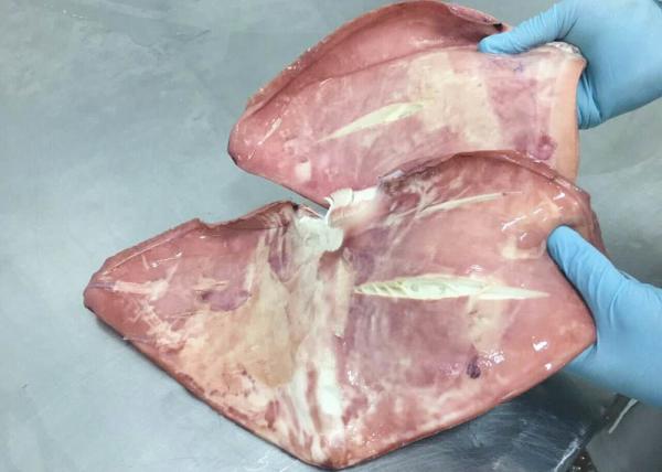 300g Up Giant Sea Squid , Frozen Boiled Giant Squid Fin Peru Squid Gigas Bqf